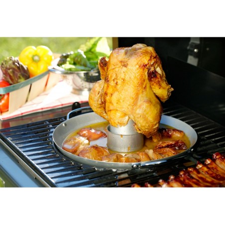 Campingaz Culinary Modular Poultry Roaster